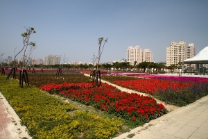 高捷R13公園花海