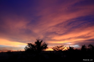 2011/11/18夕陽~