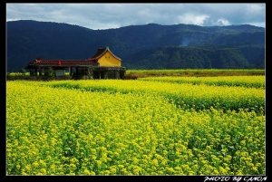 花東風景-1