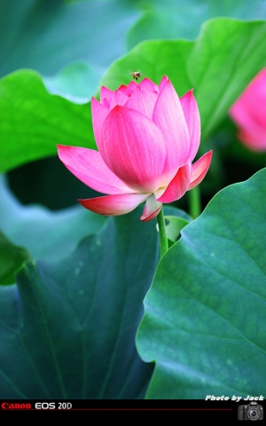 荷(問題已修改)