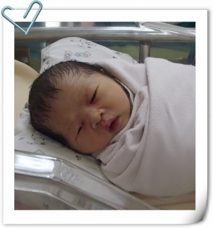 我的小湯圓誕生了