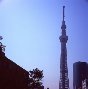 東京雙塔！
