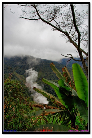 來宜蘭太平山上享受豐富之好氣吧 ... By Tony