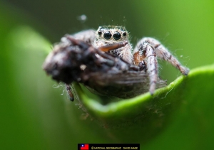 單燈微距~ 第三彈