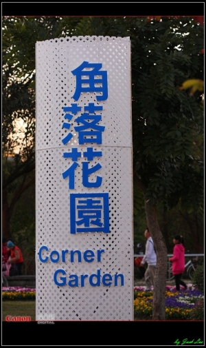 冷颼颼の大安森林