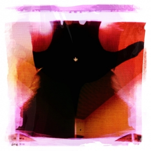 最近迷上用iphone攝影