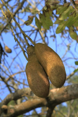 台南之行~亂亂拍