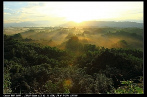 搖&不搖的差別--二寮舊作--