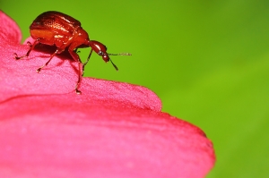 生態小品 in 台北