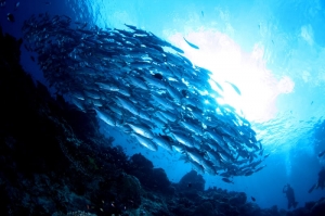 Sipadan