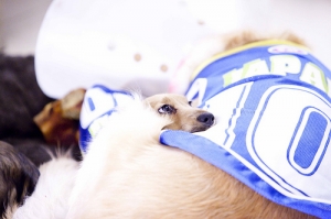 Abby Diamond 出浴照