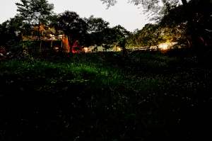 下著雨的若蘭山莊