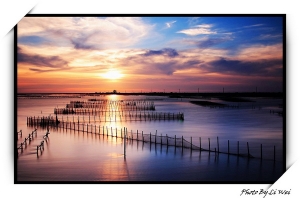 [10D]2008七股夕照(970801更新)