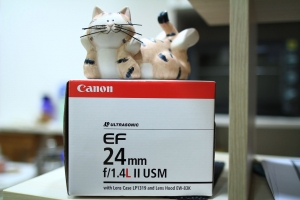 中毒太深今日終於發作~~~24LⅡ