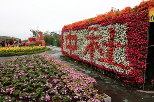++ 索羅門~台中中社-花海 by (16-35) ++