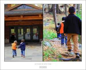 ::: Autumn In New York 紐約的秋天:::