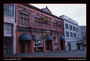 100%純淨紐西蘭之旅Part04-但尼丁城市之美