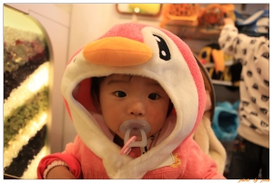 彭大妞&彭小妞-木柵動物園行