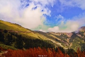 福壽山楓和日麗