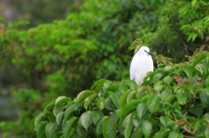 [18禁] 大家都在看什麼??