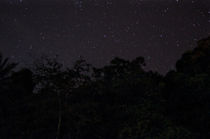 浪中岛第三篇の60D第一次的星轨~ :D