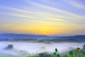 騙很大之二寮晨曦