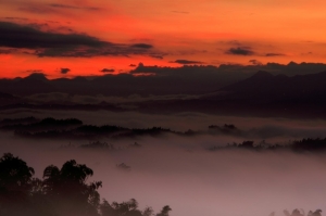 今早的二寮晨曦