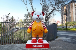 看見熊 遇見泰迪熊