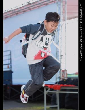 動物園AND新山夢湖