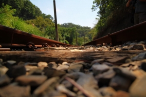 感謝各位大大的抬愛 ,我剛剛升級到高級會員了