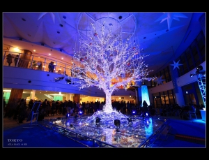 TOKYO/東京聖誕