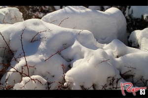 [EOS M] 來自紐約的雪花冰上桌啦！ --- Ryan83