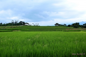 台東關山之旅~風景篇