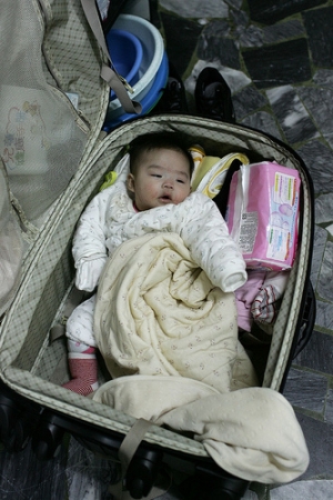 小布丁，爸爸幫妳偷渡到台南好嗎？