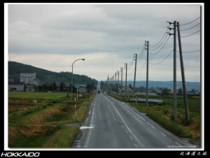 北海道 富田農場
