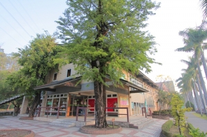 今天..他們都不怕我(鳥蜂蝶)