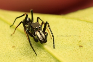 久違macro~上山練手感