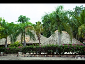 ::: Mexico 2011 墨西哥之旅 IK KIL :::
