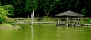 馬告生態公園