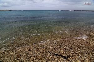 我在屏東的這一個半月！