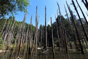 虛幻忘憂夢幻石棹琉璃初體驗!!!