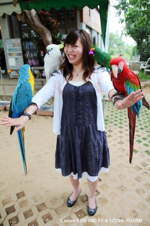 和寶寶遊動物園 天馬牧場