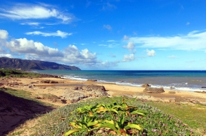 2012墾丁~~~~~~~~完結篇