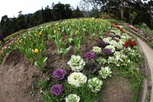 桃園後花園的一片淨土"-桃源仙谷