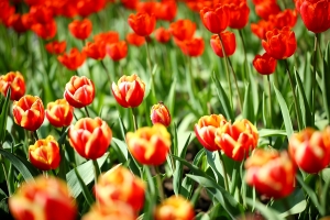 出遊拍照2 (桃源仙谷)