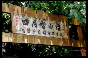 三義盛興車站懷舊之旅