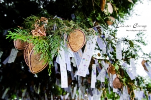 新竹尖石《 薰衣草森林 》