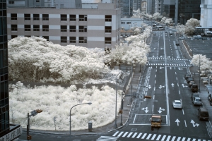 紅外線IR習拍 ~爆肝達人~