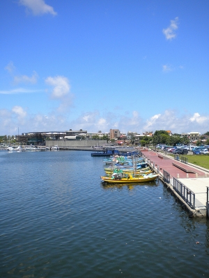 去年參加新光三越攝影比賽 沒得獎的作品 分享給大家看