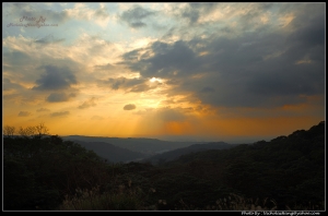 林口第六景點，探探探